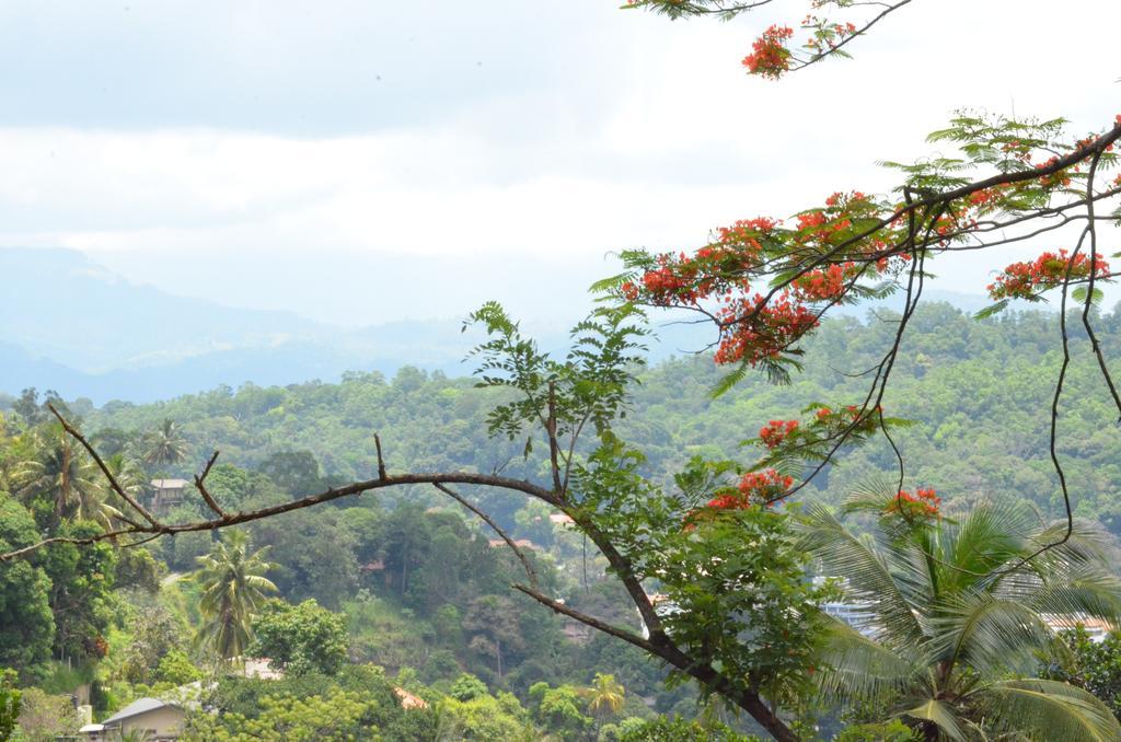 The Buena Vista Couette-café Kandy