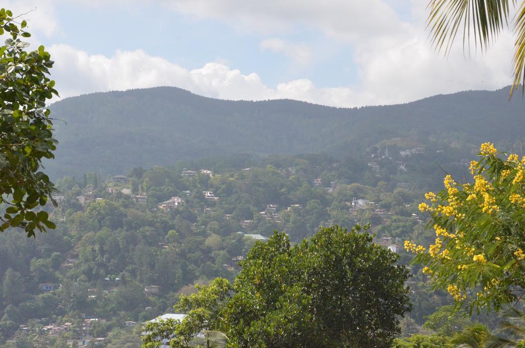 The Buena Vista Bed and breakfast Kandy